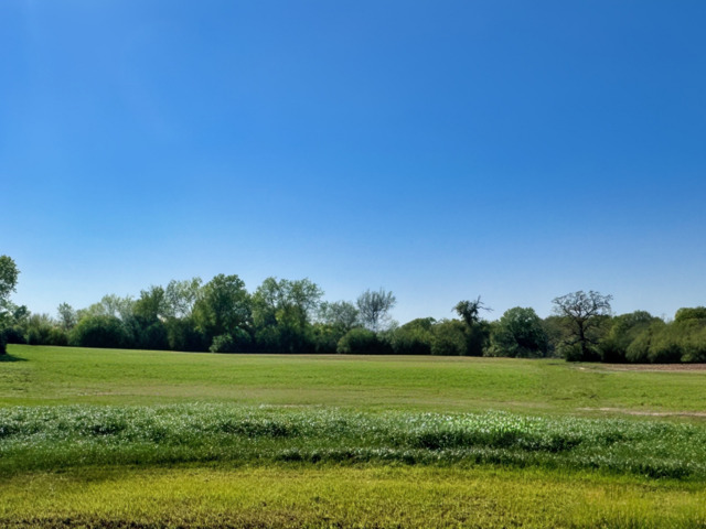 Lot 38 Panther Ridge Drive Property Photo 1