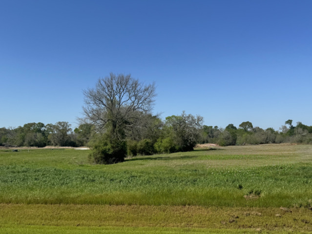 9956 Panther Ridge Drive Property Photo