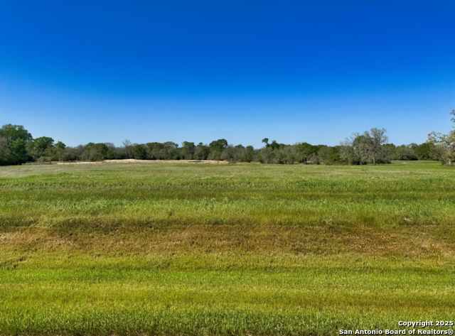 10078 Hidden Pond Drive Property Photo
