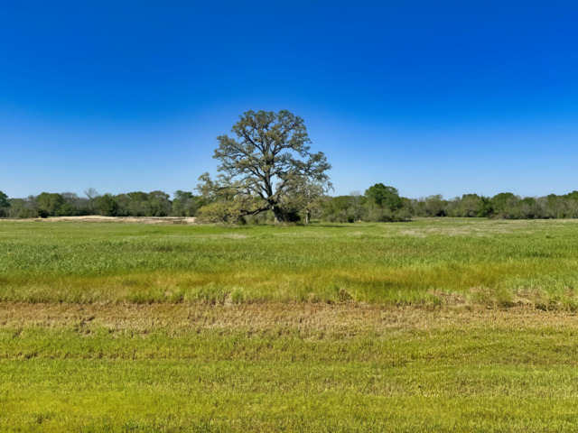 10022 Hidden Pond Drive Property Photo