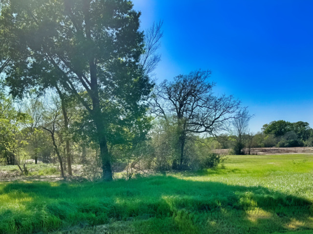 10273 Panther Creek Drive Property Photo