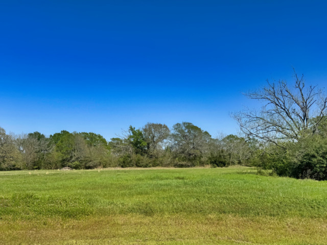 10270 Panther Creek Drive Property Photo