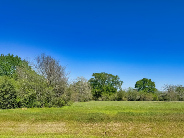 10246 Panther Creek Drive Property Photo
