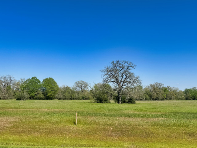 10172 Panther Creek Drive Property Photo