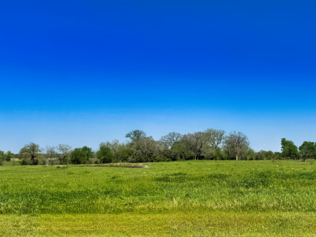 10068 Panther Creek Drive Property Photo 1