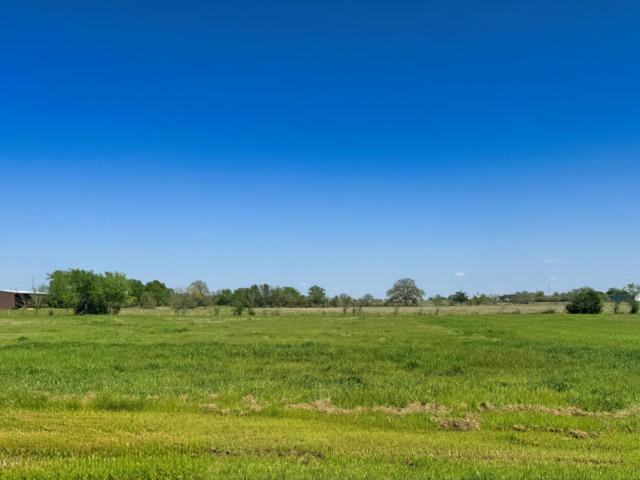 9966 Panther Creek Drive Property Photo 1