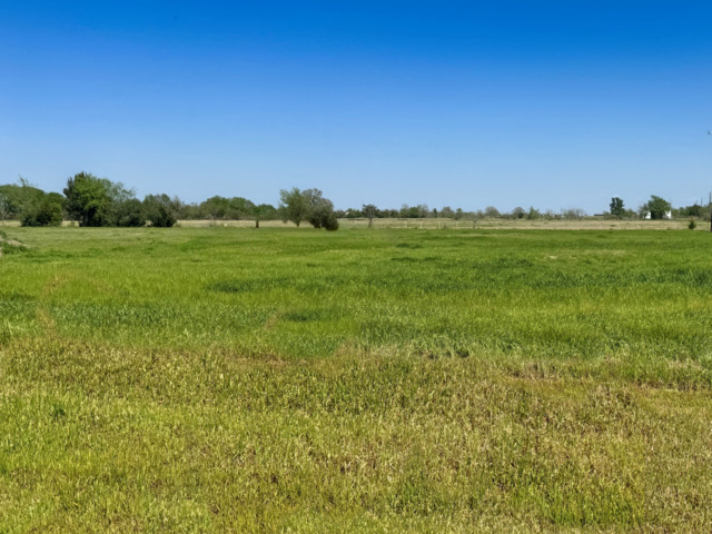 9866 Panther Creek Drive Property Photo 1
