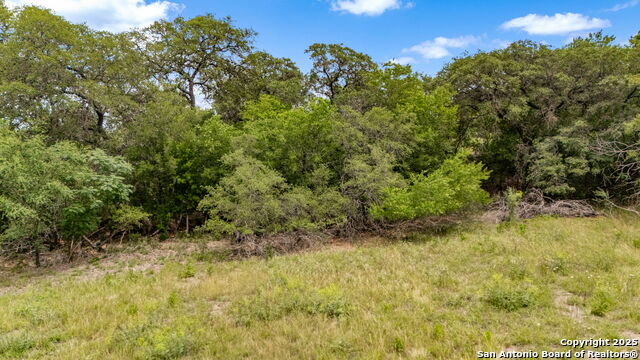 River Blf Property Photo 21