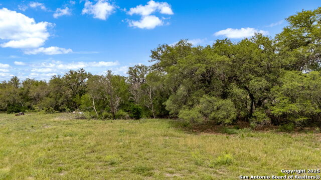 River Blf Property Photo 22
