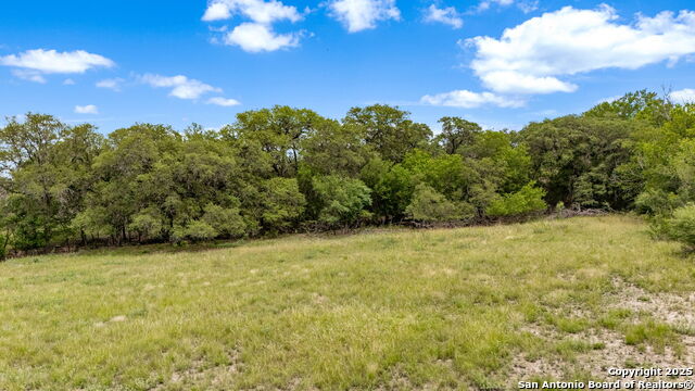 River Blf Property Photo 23