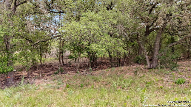 River Blf Property Photo 25