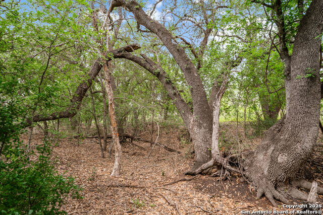 River Blf Property Photo 27