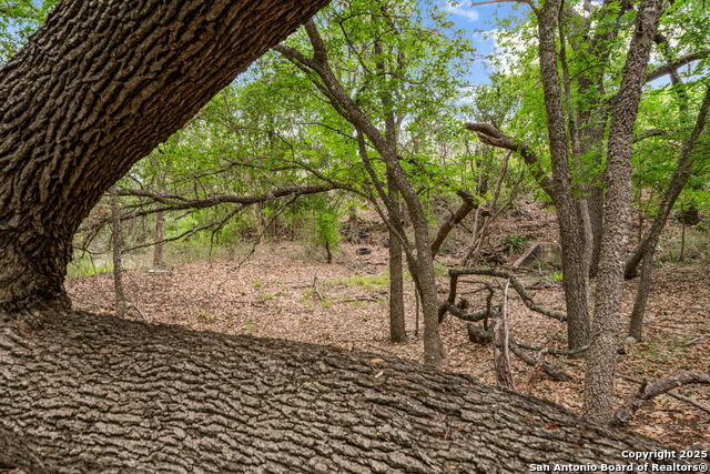 River Blf Property Photo 28