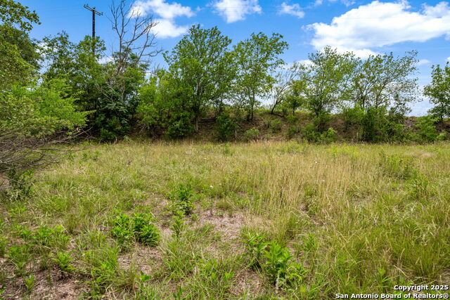 River Blf Property Photo 30