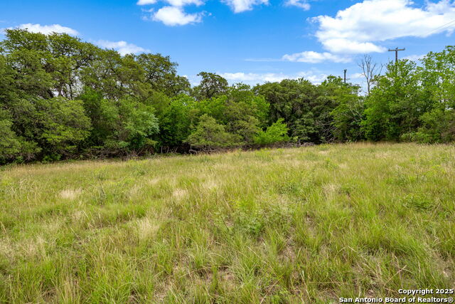 River Blf Property Photo 31
