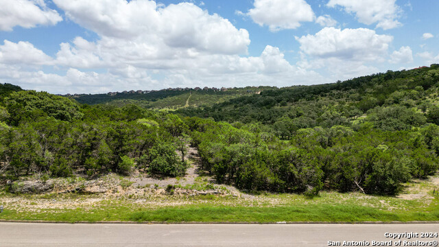 22406 White Doe Pass Property Photo 5