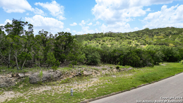 22406 White Doe Pass Property Photo 6