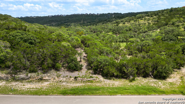 22406 White Doe Pass Property Photo 8