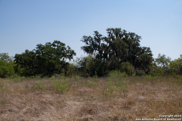 Tract 2 West King Lane Property Photo 8