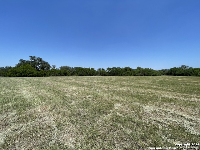 Tract 2 West King Lane Property Photo 14
