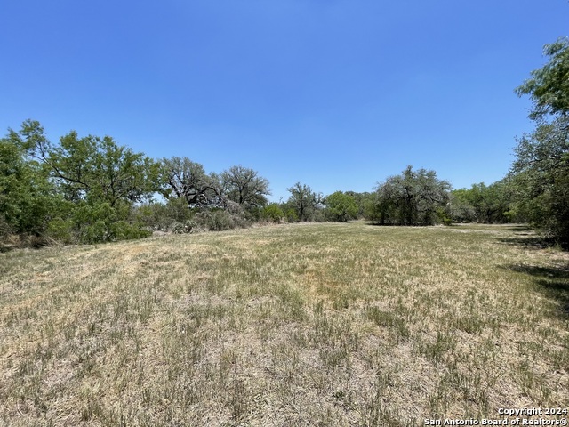 Tract 2 West King Lane Property Photo 15