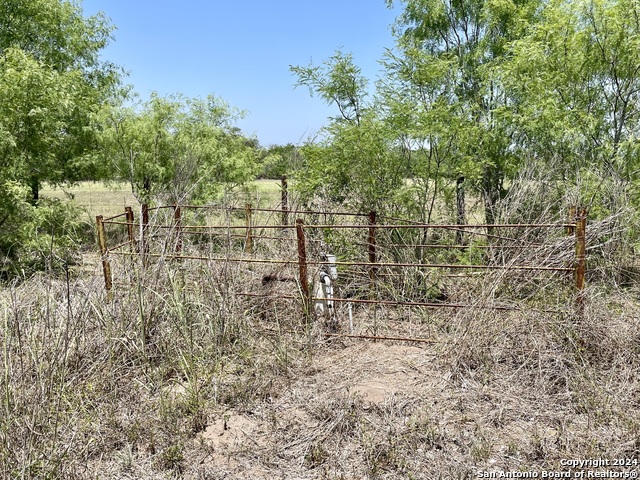 Tract 2 West King Lane Property Photo 17