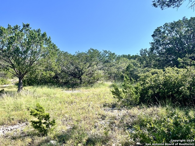 900 Alonzo Rd Property Photo 12