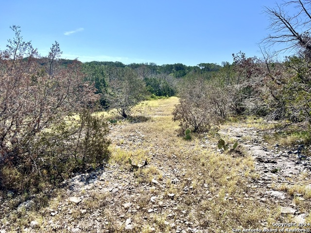 900 Alonzo Rd Property Photo 14