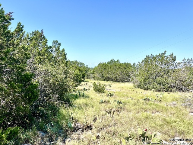 900 Alonzo Rd Property Photo 15