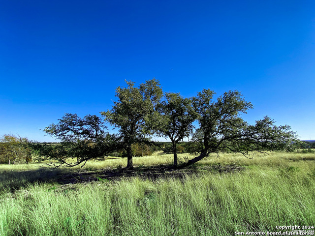 Lot 136 Loma Vista Ranch Property Photo 1