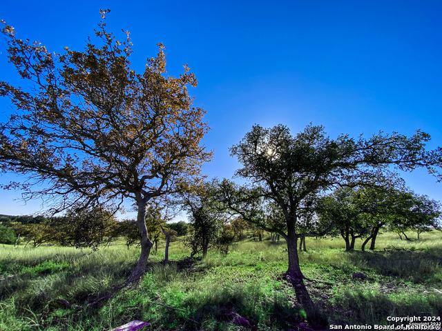 Lot 136 Loma Vista Ranch Property Photo 9