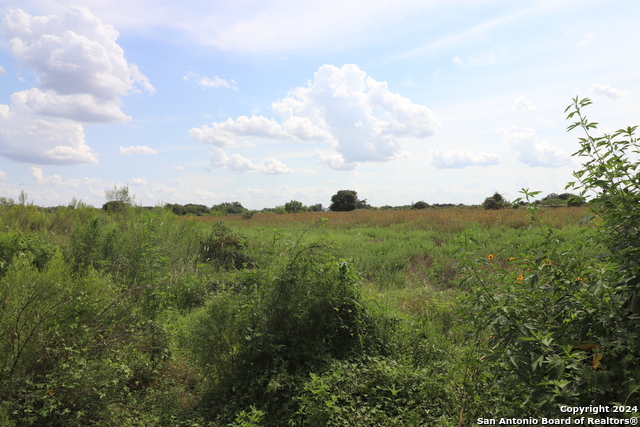 10344 Mathis Ln. Property Photo 4