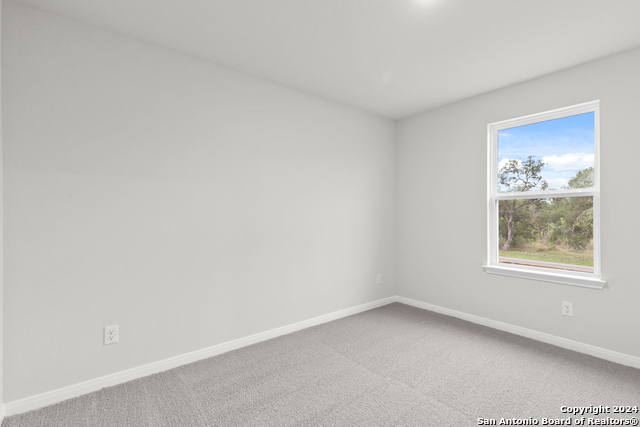 15019 Homing Meadow Property Photo 12