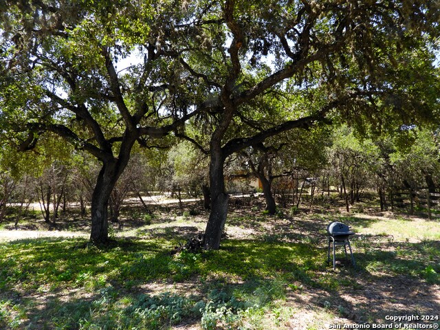 406 Kruse Loop Property Photo 8