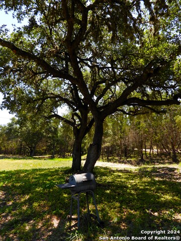 406 Kruse Loop Property Photo 9