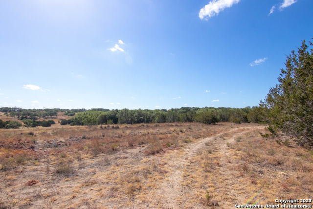 87 Tiswin Trl Property Photo 4