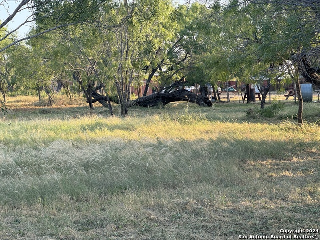 _ W Buchanan Blvd Property Photo 2