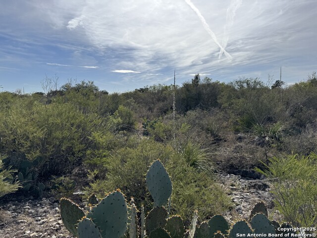 000 Rocky Ridge Rd Property Photo 3