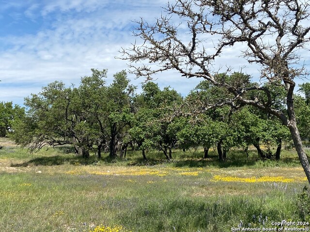 TBD TAURUS LN Taurus Property Photo 1