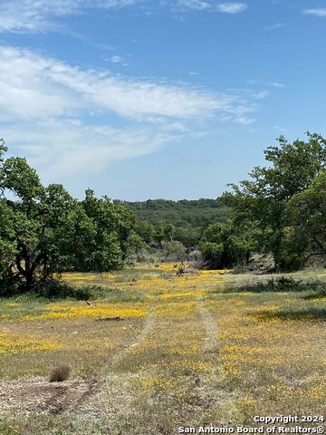 Tbd Taurus Ln Taurus Property Photo 2