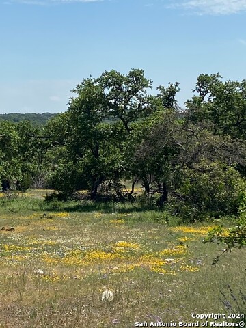 Tbd Taurus Ln Taurus Property Photo 3