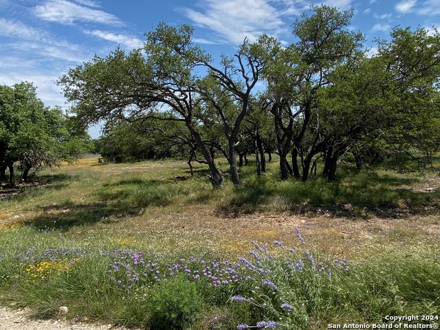 Tbd Taurus Ln Taurus Property Photo 4