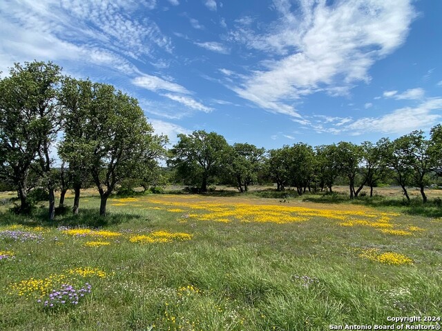 Tbd Taurus Ln Taurus Property Photo 6