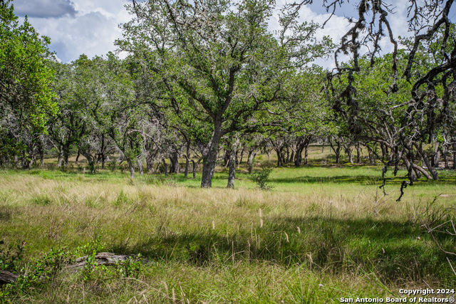 887 Maximino Ridge Rd Property Photo 14