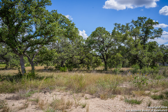 887 Maximino Ridge Rd Property Photo 18