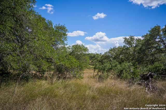 887 Maximino Ridge Rd Property Photo 19