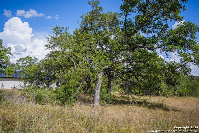 887 Maximino Ridge Rd Property Photo 21