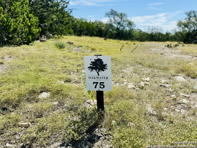 Lot 75 Pinnacle Dr Property Photo 2