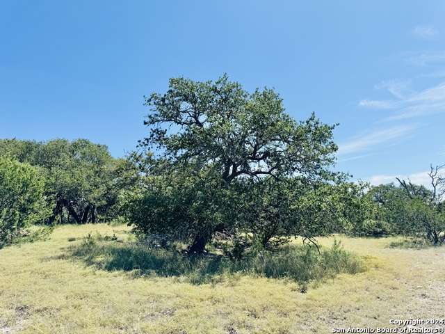 Lot 75 Pinnacle Dr Property Photo 3