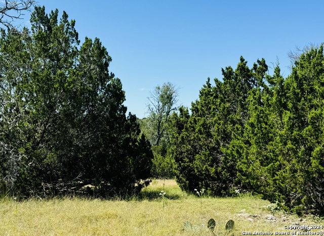 Lot 75 Pinnacle Dr Property Photo 7